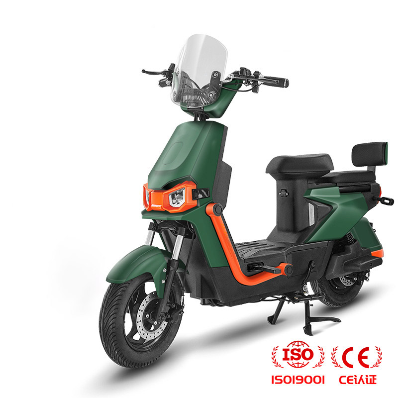 New Electric Bike 1000W Electric Bicycle