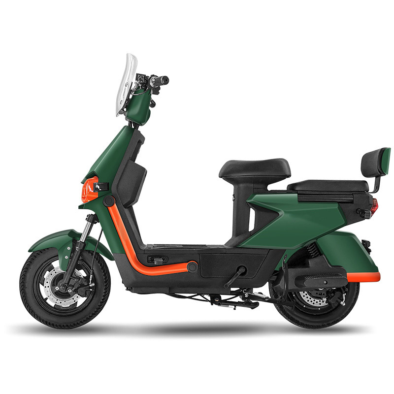 New Electric Bike 1000W Electric Bicycle