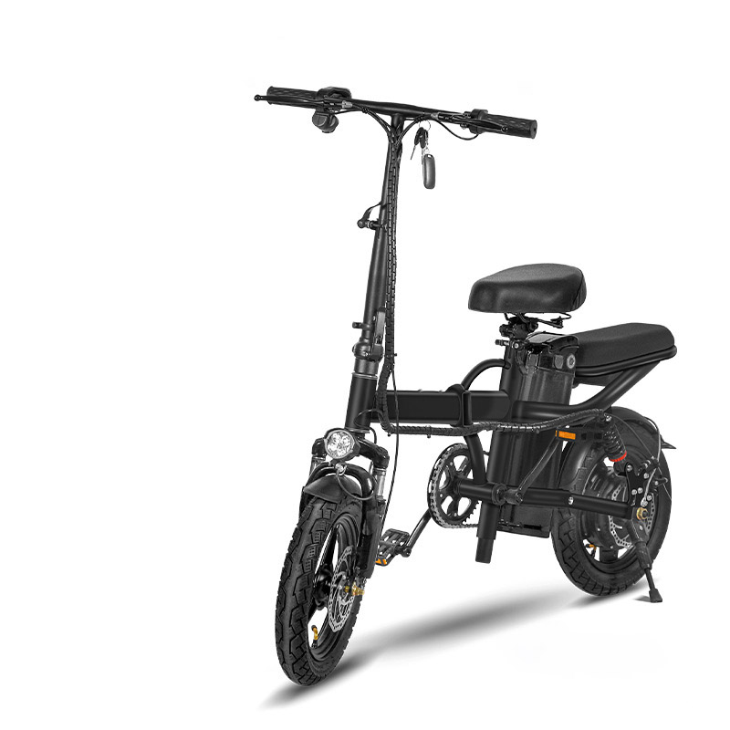 Lithium-Battery Electric Vehicle Factory