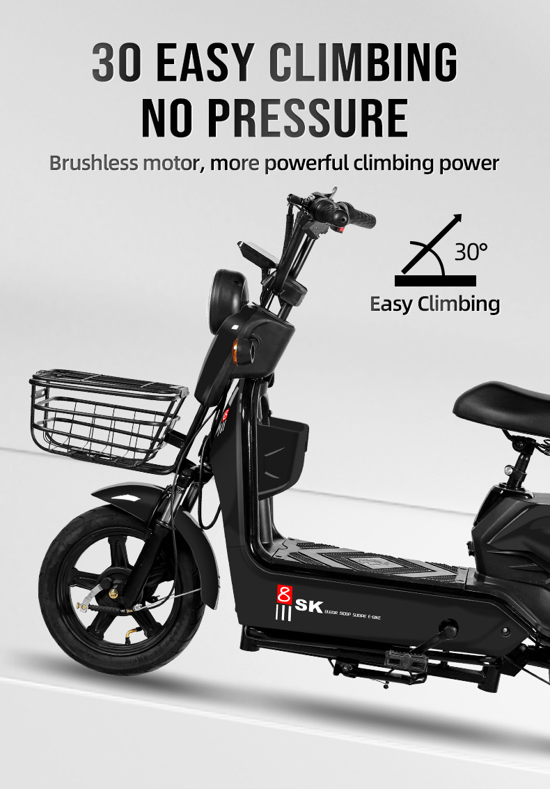 Electric bike (3).jpg