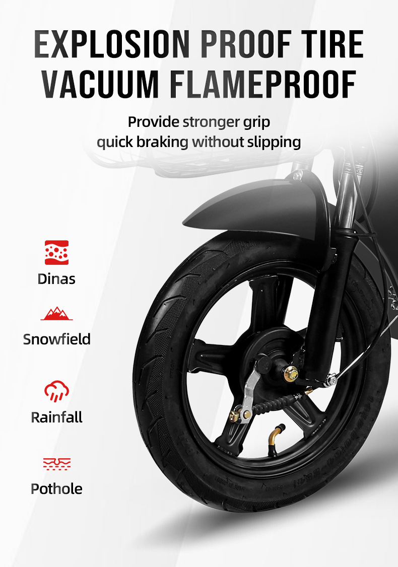 Electric bike (4).jpg