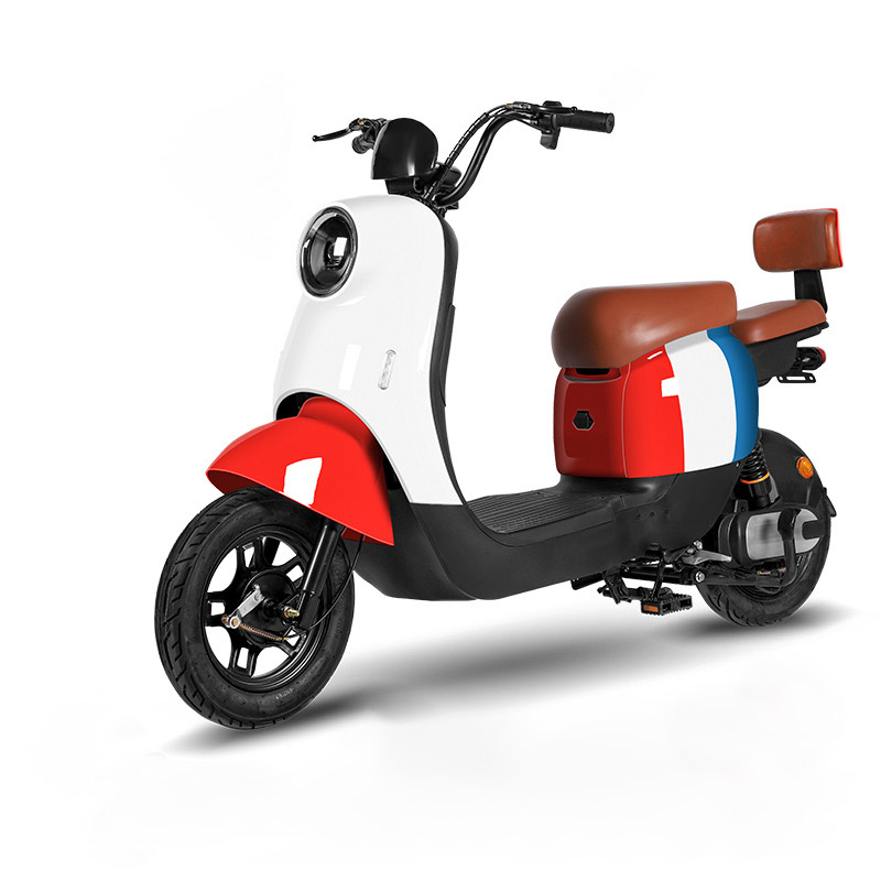 New GC6 Electric Bike Manufacturer 48V T