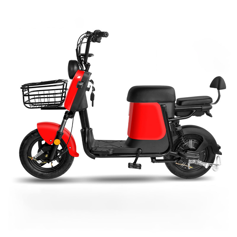 Q1 Electric Bike 48V Two-Wheel Electric 
