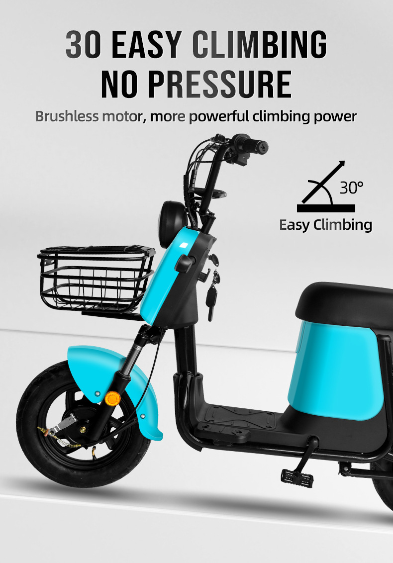 electric bike (3).jpg