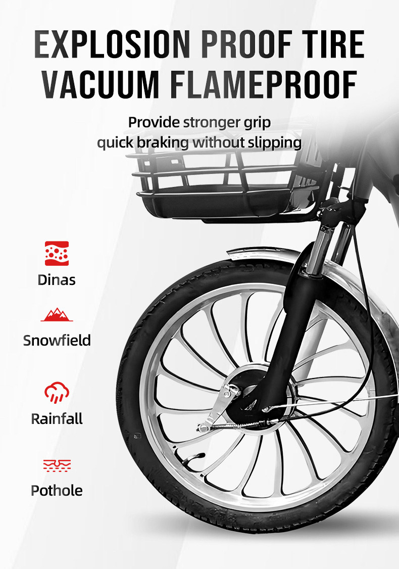 electric bike (4).jpg