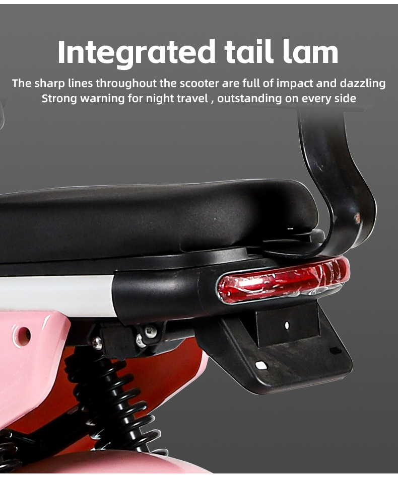 electric bike (4).jpg