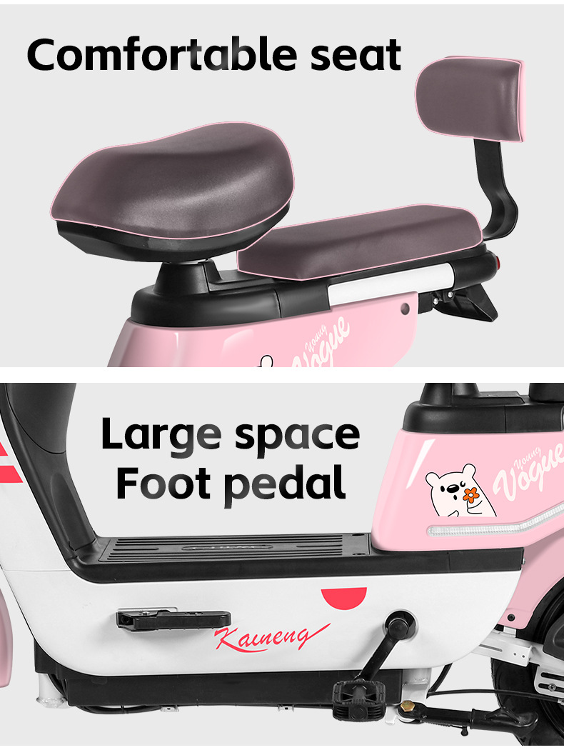 electric bike (11).jpg