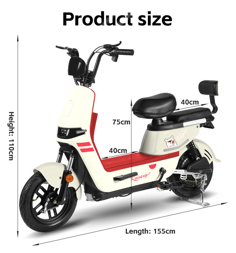 electric bike (14).jpg