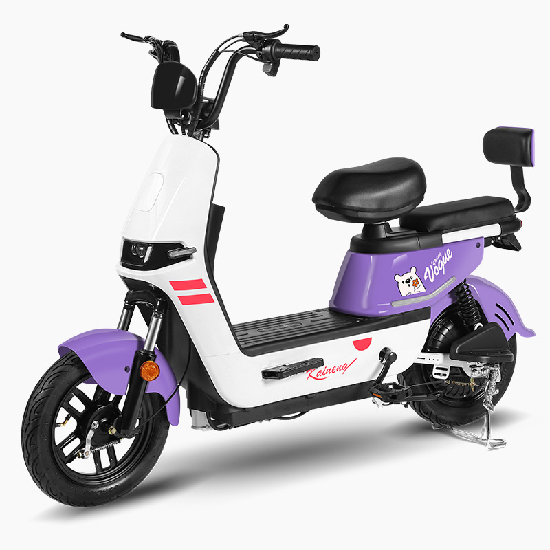 Rainbow Horse Electric Vehicle Manufactu