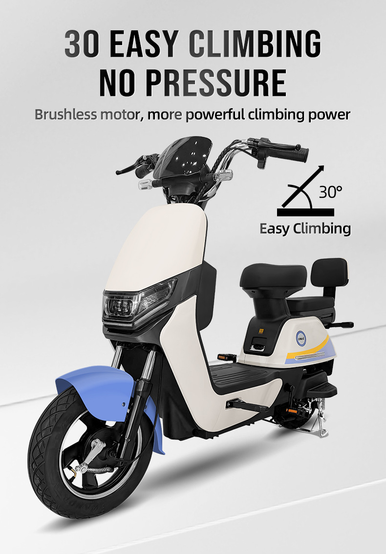 electric bike (3).jpg