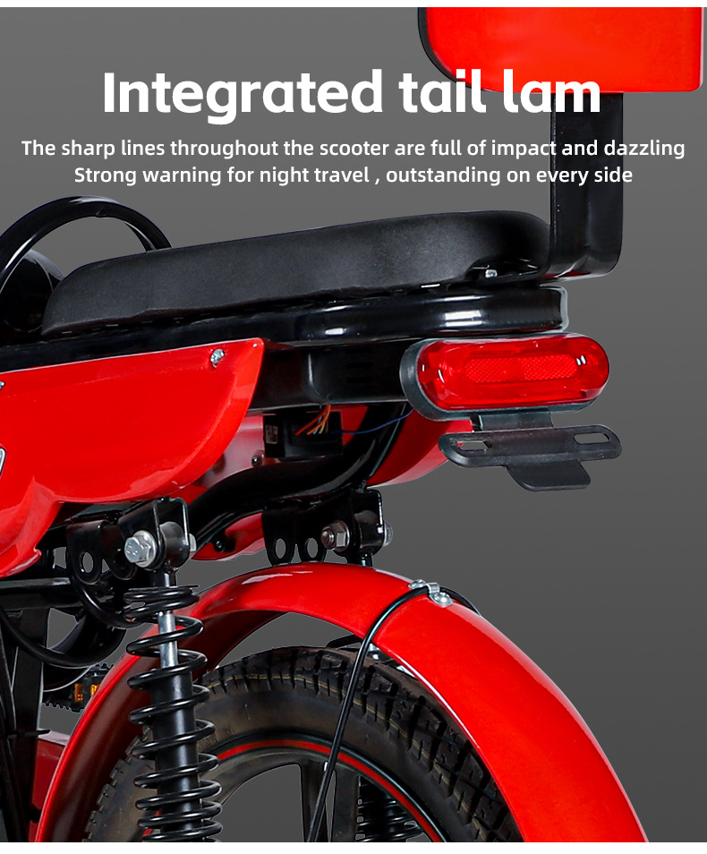 electric bike (4).jpg