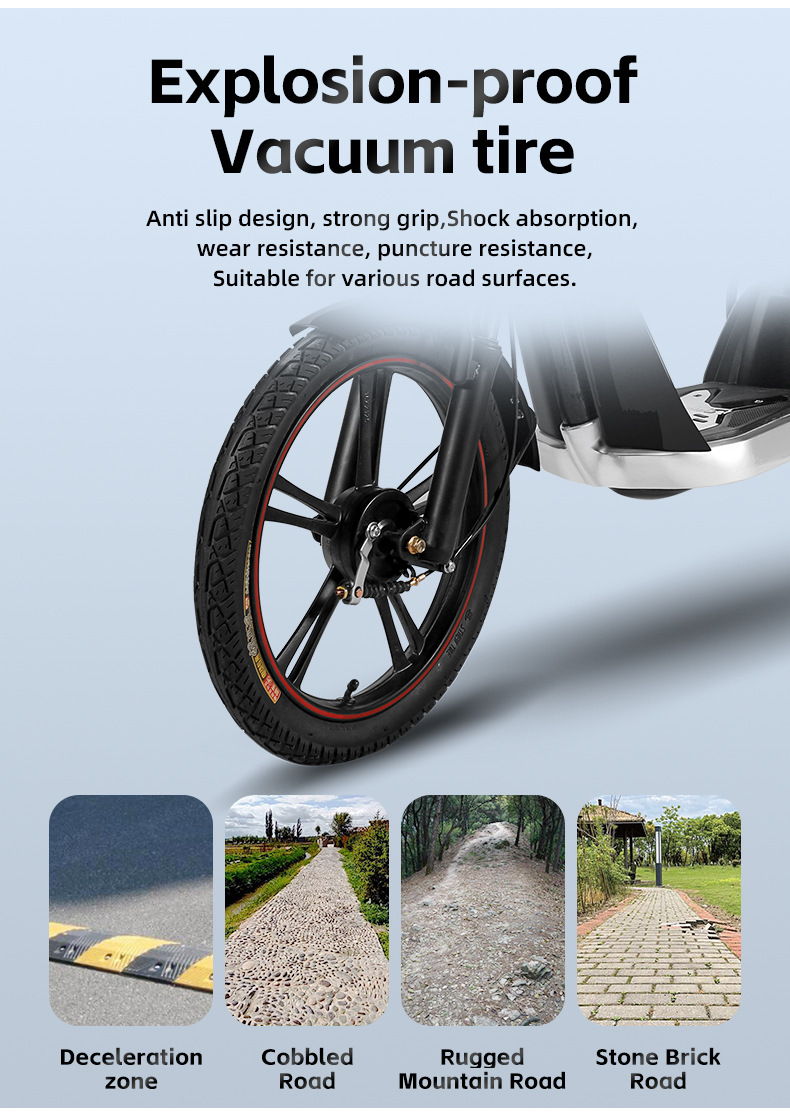 electric bike (6).jpg