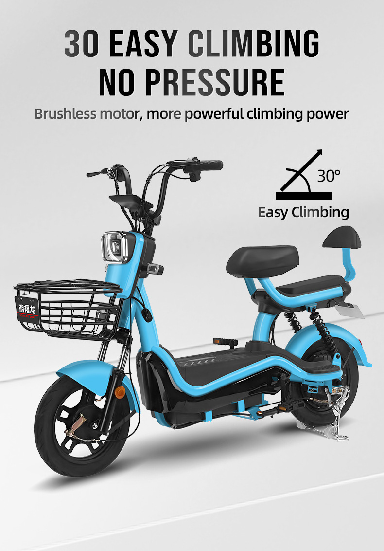 electric bike (3).jpg