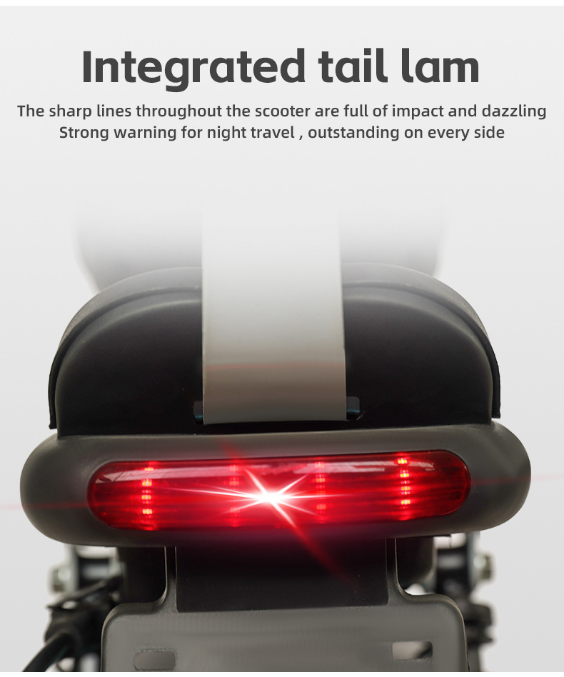 electric bike (4).jpg