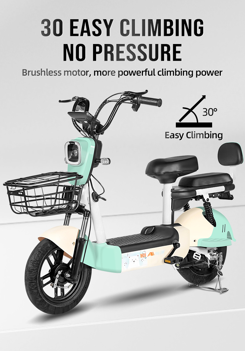 electric bike (3).jpg