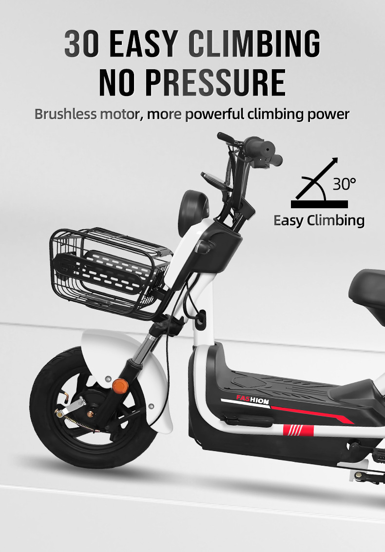 electric bike (3).jpg