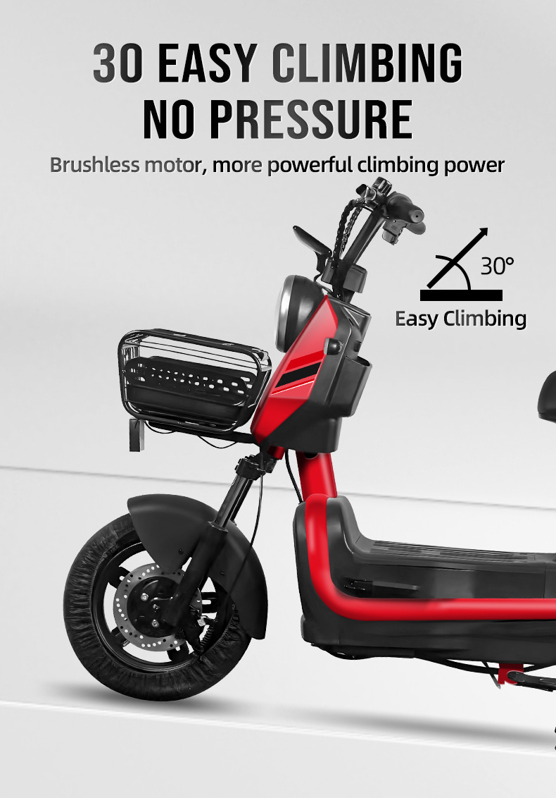 electric bike (3).jpg