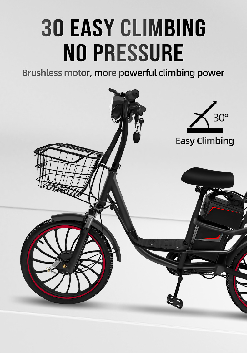 Electric bike (3).jpg