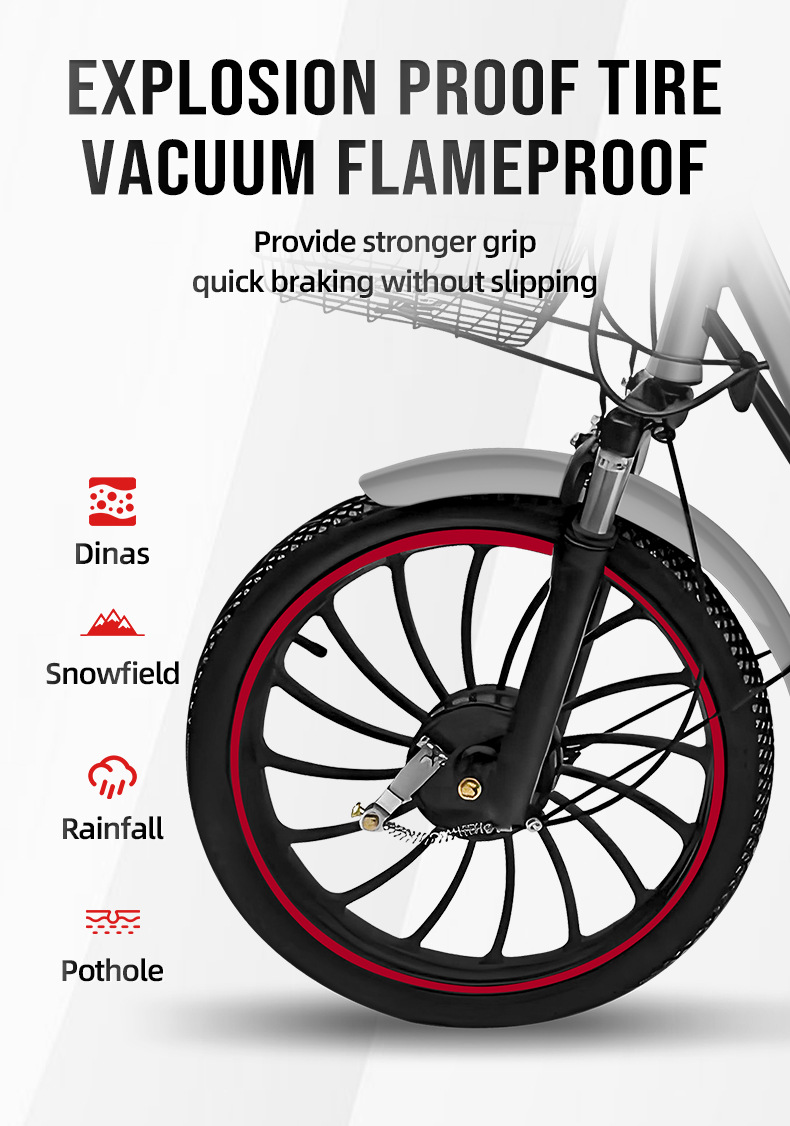 Electric bike (4).jpg